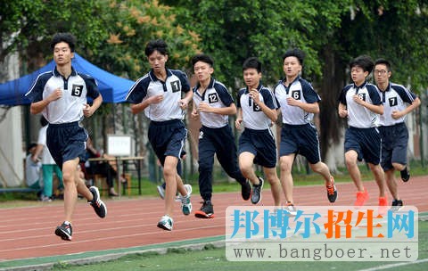 2017年中考复习时间规划情况（二）