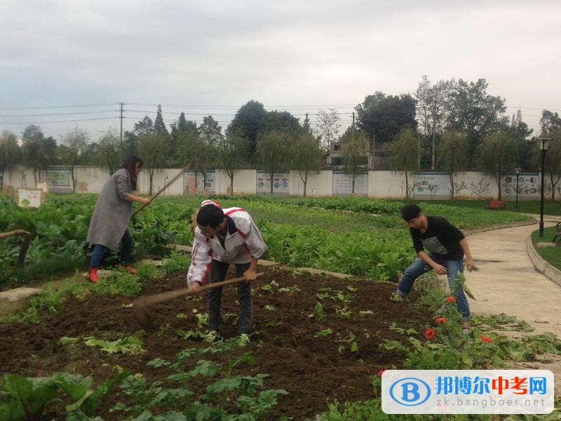 躬耕知趣园，一个趣味无穷的乐园