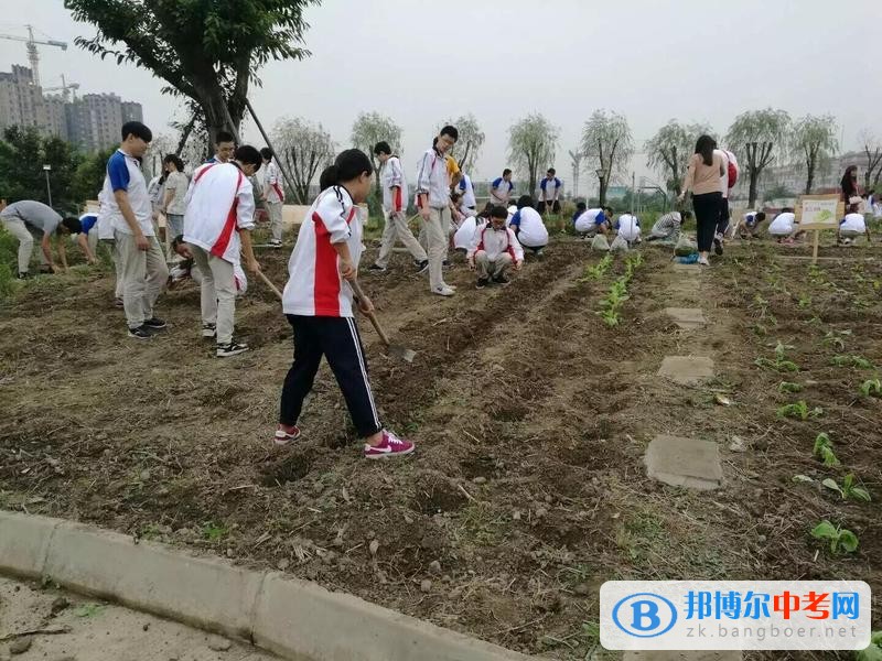 躬耕知趣园，一个趣味无穷的乐园