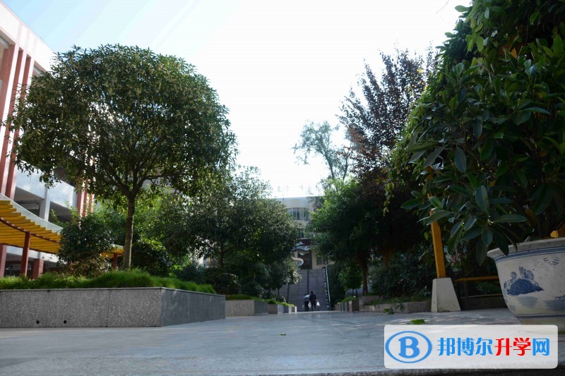 南江县正直中学2022年招生代码