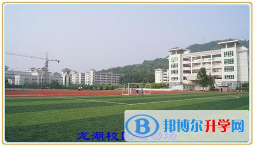 四川省巴中学2017年招生计划