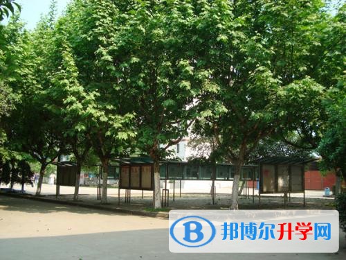 四川省泸州高级中学2017年招生计划