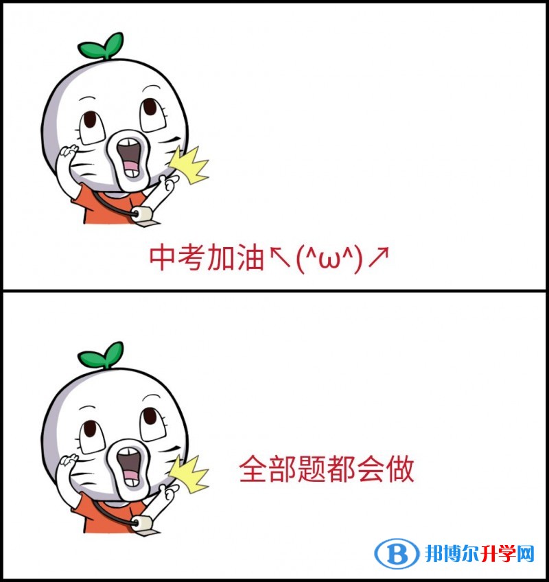 中考查询网址