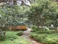 云南师大实验中学2025年招生代码