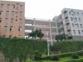 水富县第一中学2025年招生代码