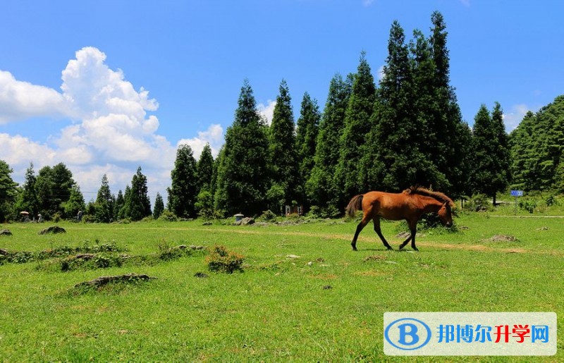 重庆市石柱中学校周边景点