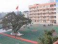 重庆市大足区龙岗中学2025年招生代码