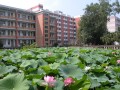 重庆市大足中学怎么样、好不好