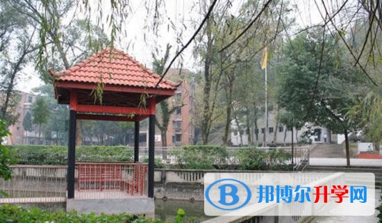 重庆市万州区分水中学招生代码