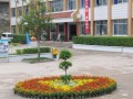 重庆市万州区武陵中学2025年学费、收费多少