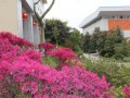 重庆市万州区纯阳实验学校2025年招生代码