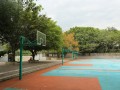 重庆市綦江县中学2025年招生办联系电话