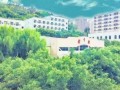 綦江实验中学地址在哪里