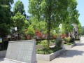 重庆南川市第三中学2025年招生办联系电话