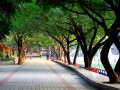 重庆市杨家坪中学2023年招生录取分数线