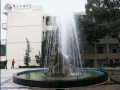 重庆市木洞中学2025年招生代码