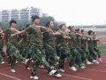 重庆市鱼洞中学校2024年招生代码
