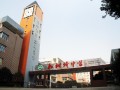 重庆松树桥中学校2025年招生代码