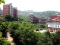 重庆涪陵第五中学校2025年招生办联系电话