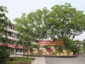 垫江第三中学2025年招生办联系电话