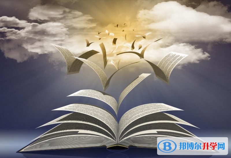 贵阳怎样查询中考艺体考试成绩