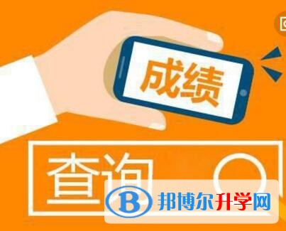 成都网上查询中考成绩