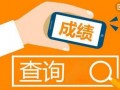 成都网上查询中考成绩