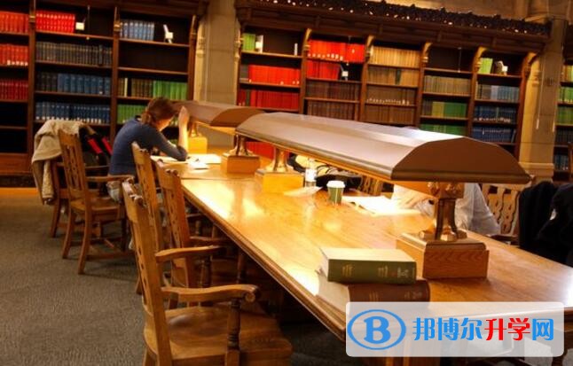成都中考查询网