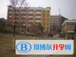 贵州大学附属中学学费