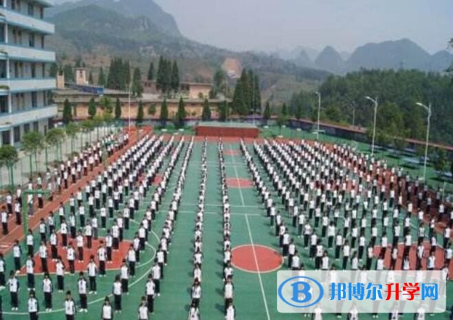 纳雍雍安育才高级中学招生办联系电话