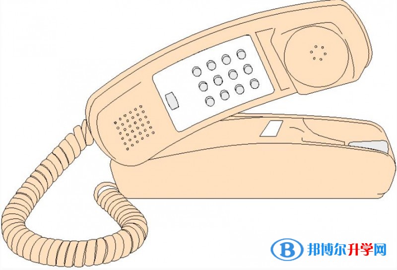 重庆中考招生办电话