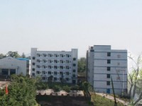 重庆涪陵第十中学校2025年招生代码