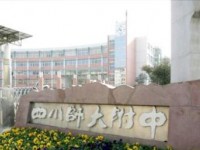 四川师范大学附属实验学校2024年招生计划