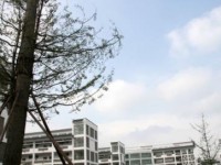 四川省都江堰中学2025年招生计划