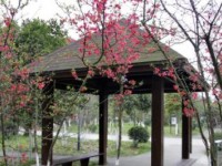 安县秀水中学2025年招生计划