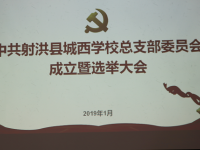 加强组织建设 落实党的领导