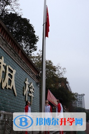 新年新气象，追梦在路上