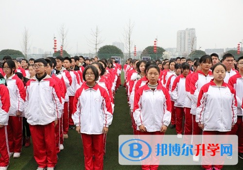 新年新气象，追梦在路上