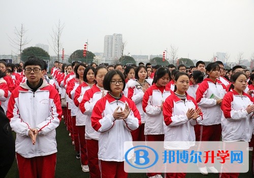 新年新气象，追梦在路上