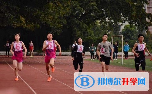 八项破纪录 “三冠”落城西