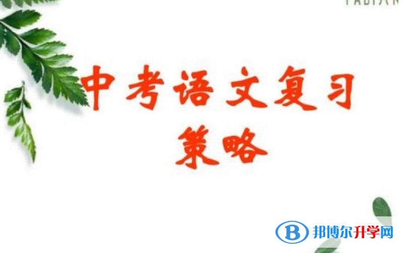 绵阳中考重点复习