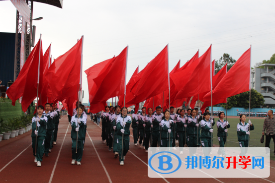 规范现大气 新颖透激情