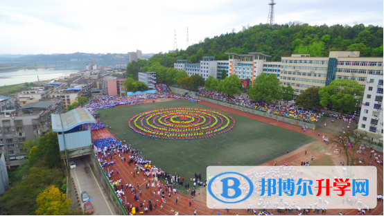 规范现大气 新颖透激情