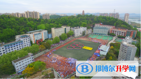 规范现大气 新颖透激情