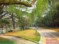 花溪英豪学校2025年招生办联系电话