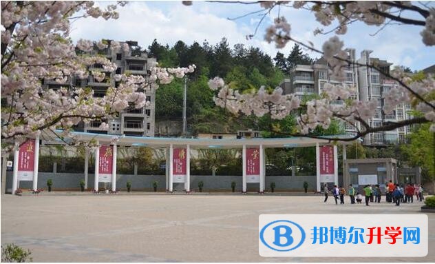 花溪英豪学校学费