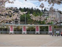 花溪英豪学校2025年学费、收费多少