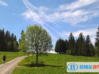 西安中考怎样填志愿