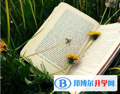 2020贵阳中考网络应用服务平台成绩查询