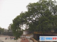 重庆长生桥中学校2025年招生计划